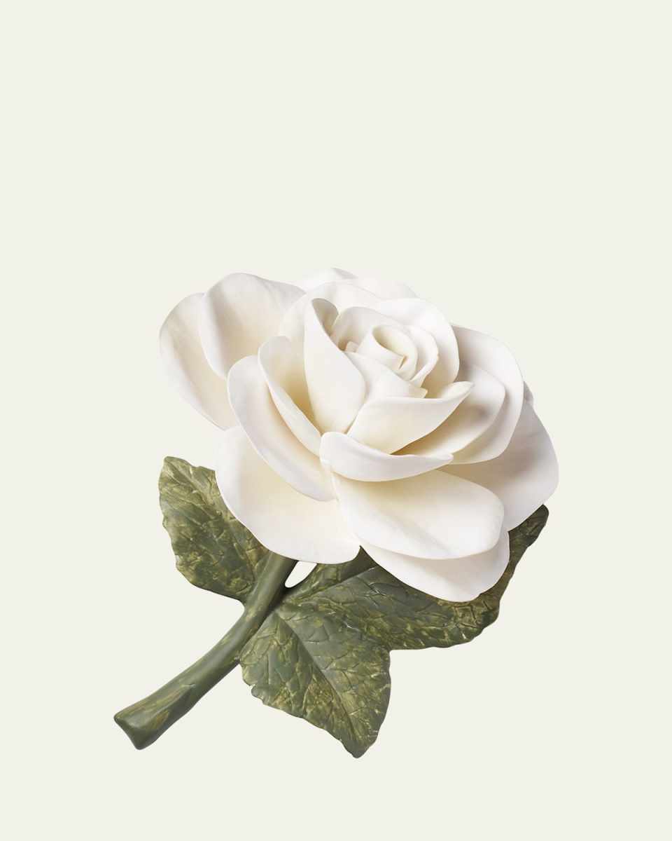 Porcelain Rose, Cream